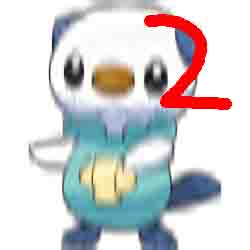 File:Oshawott2.jpg