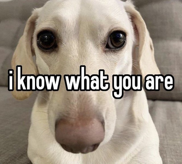 File:I know what you are.png