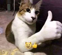 File:True, i think.gif