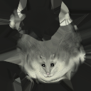 File:Flrp.png