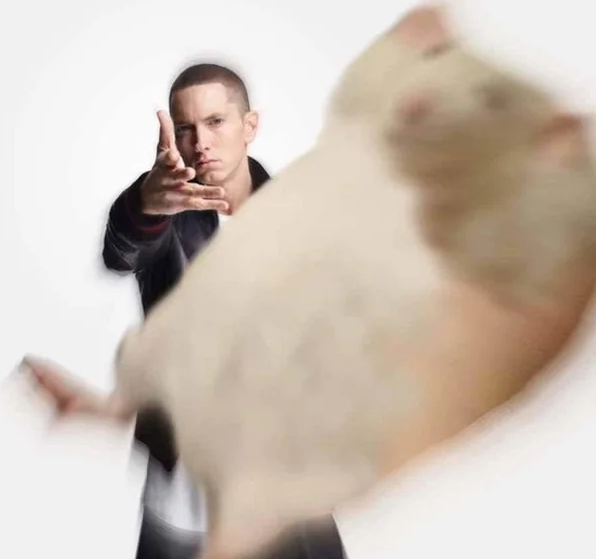File:Slim shady.png