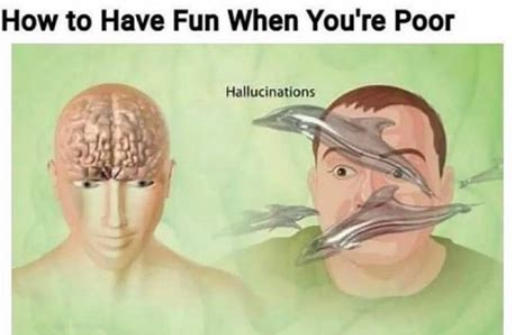 File:Hallucinations example.png