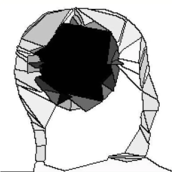 dark orb instead of brain