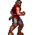 Richter