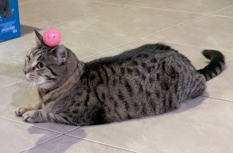 File:Buddy the orb head.png