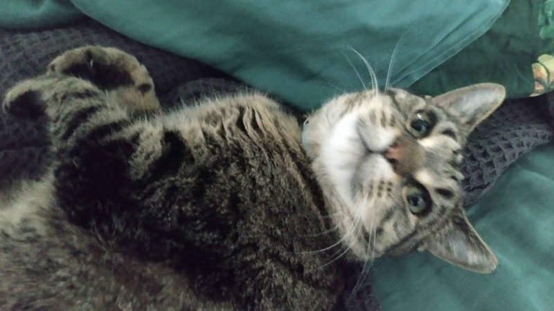 File:Yaybuddy.png