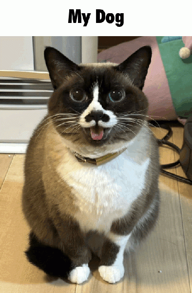 File:My dog.gif